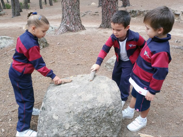 Naturaleza-La-Jarosa-CJPII